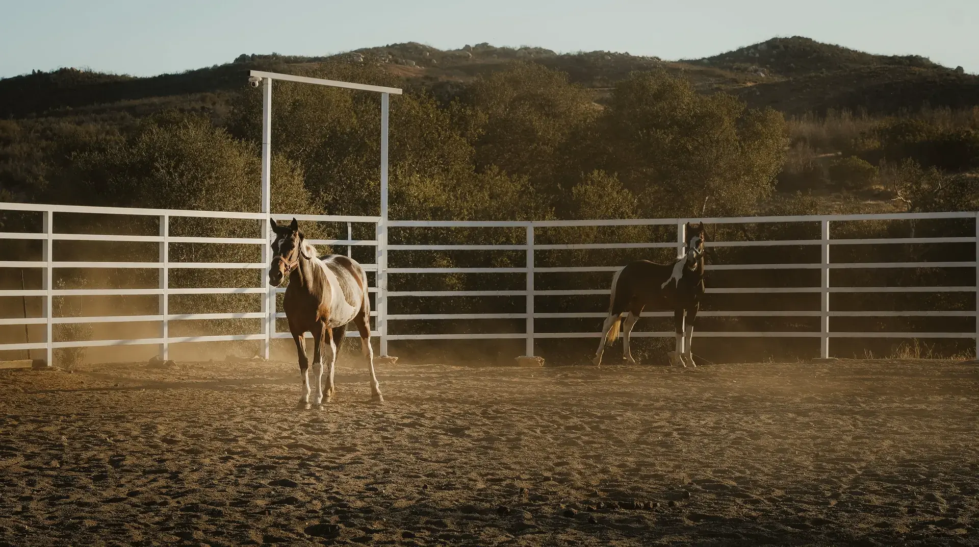 Stables
