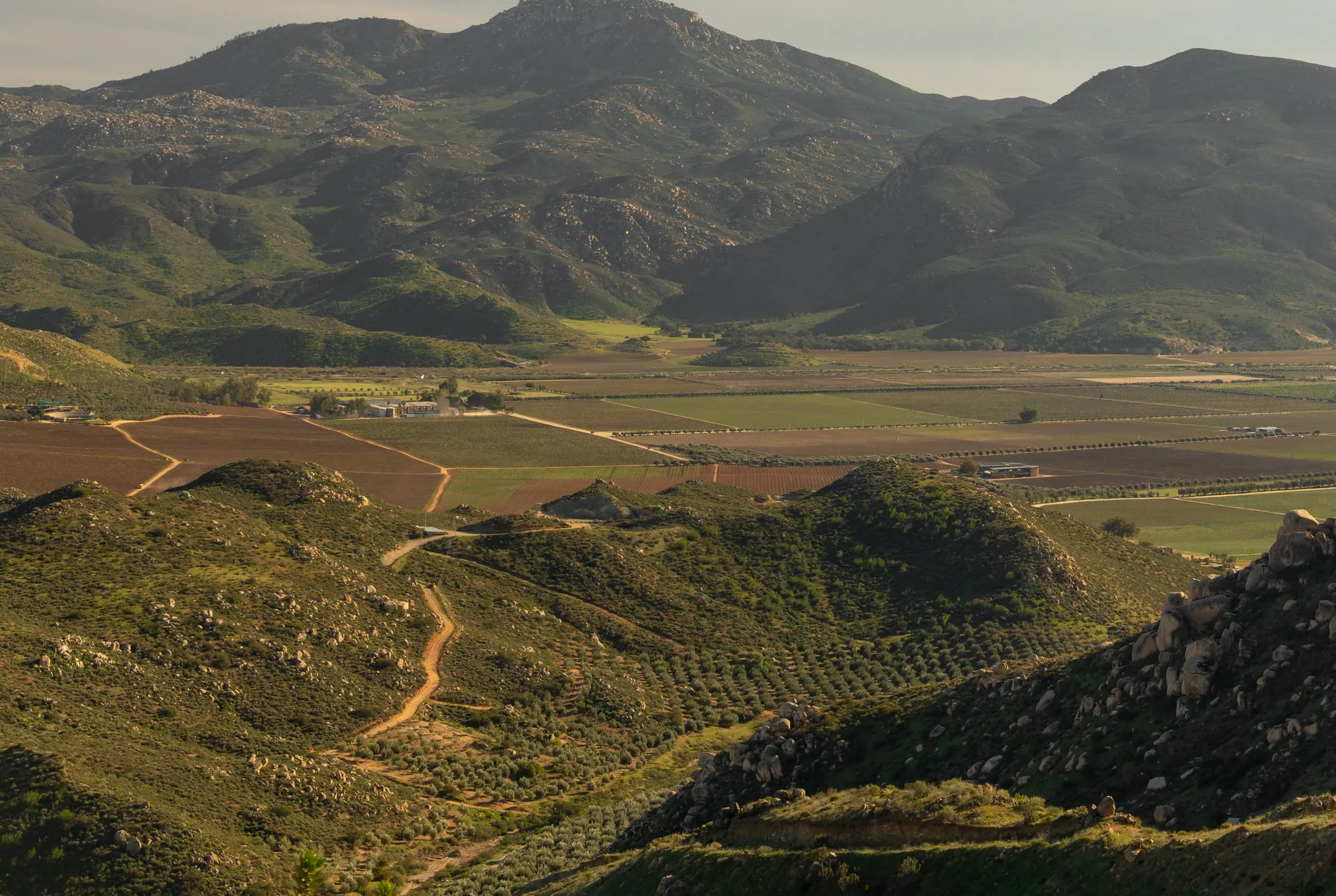 The valley and its vineyards from the hills